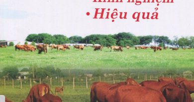 Nuôi bò thịt: Kỹ thuật - kinh nghiệm - hiệu quả
