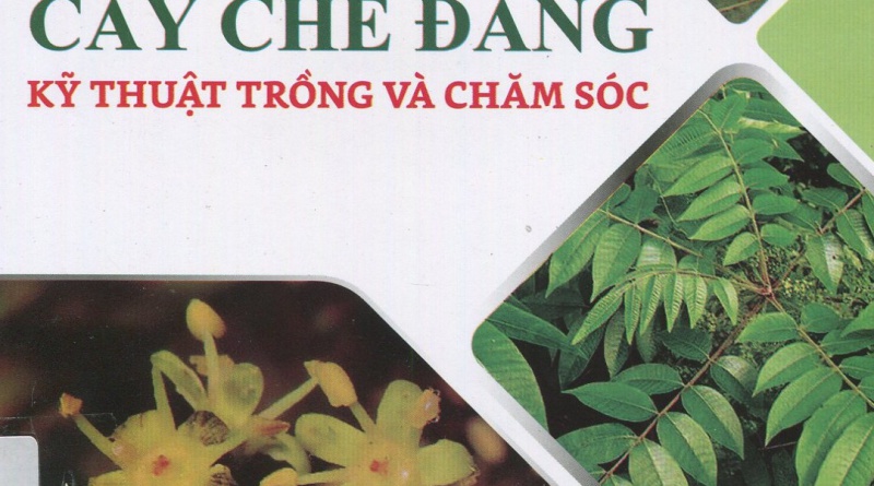 Cây sơn và cây chè đắng