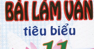 Những bài làm văn tiêu biểu 11
