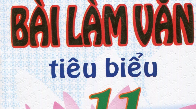 Những bài làm văn tiêu biểu 11