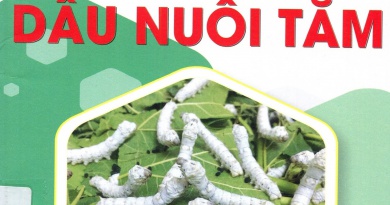 Cách trồng dâu nuôi tằm