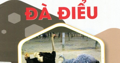 Cách nuôi đà điểu