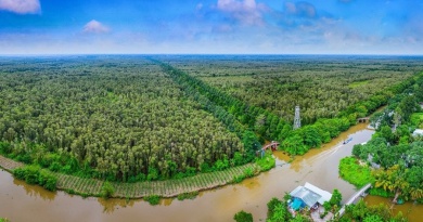 Việt Nam có 11,85 triệu ha đất ngập nước