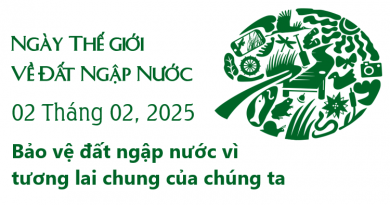 Tầm quan trọn của đất ngập nước