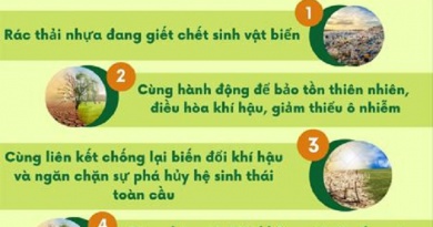 Ngày “Môi trường thế giới” – “World Environment Day” 5/6