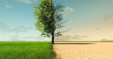 Năm 2025 dự báo sẽ có thêm nhiều thời tiết cực đoan do biến đổi khí hậu