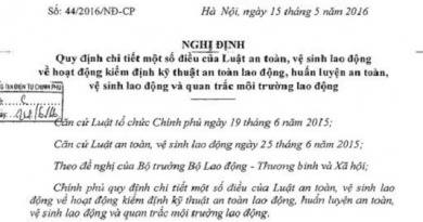 Nghị định số 44/2016/NĐ-CP của Chính phủ: Quy định chi tiết một số điều của Luật an toàn, vệ sinh lao động về hoạt động kiểm định kỹ thuật an toàn lao động, huấn luyện an toàn, vệ sinh lao động và quan trắc môi trường lao động