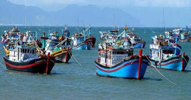 Công điện của Thủ tướng Chính phủ về việc tăng cường công tác chống khai thác thủy sản bất hợp pháp, không báo cáo, không theo quy định (IUU)