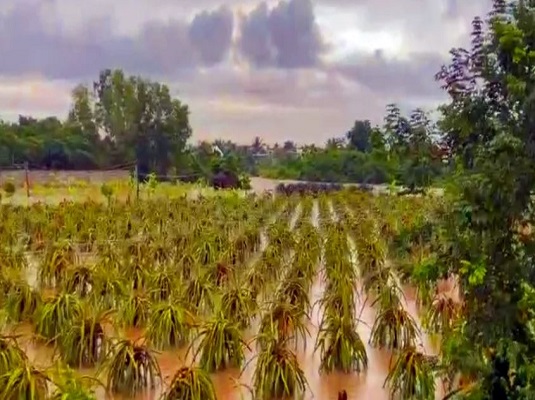 Chưa đầy 72 giờ, Lâm Đồng hứng thiên tai nặng nề, thiệt hại hơn 38 tỉ đồng Chưa đầy 72 giờ, Lâm Đồng hứng thiên tai nặng nề, thiệt hại hơn 38 tỉ đồng