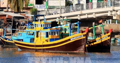 Lâm Đồng giữ vững ngư trường, nói không với khai thác IUU