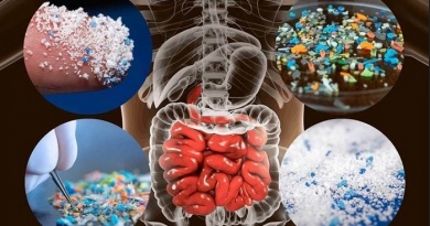 Nghiên cứu mới: Người dân Đông Nam Á có nhiều vi nhựa trong cơ thể nhất