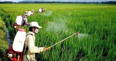 Ô nhiễm môi trường từ thuốc bảo vệ thực vật