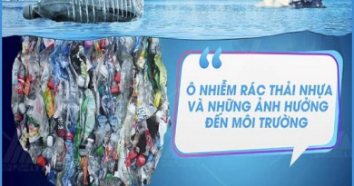[Video]: ô nhiễm rác thải nhựa dùng một lần – Hiểm họa lớn của con người