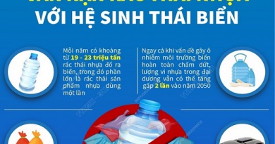 Vấn nạn rác thải nhựa với hệ sinh thái biển