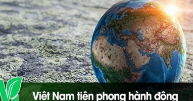 [Video]: Việt Nam tiên phong hành động vì khí hậu toàn cầu
