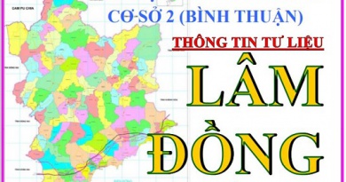 Thông tin tư liệu tháng 10/2025 – Chính trị, kinh tế, văn hóa, xã hội