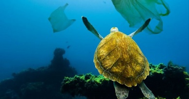 Hiểm họa hạt vi nhựa trong lòng đại dương