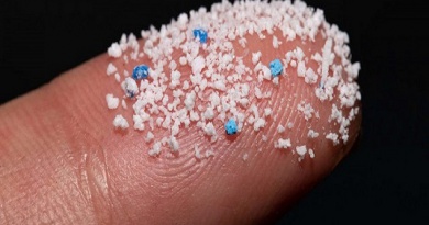 Tác Hại Của Hạt Vi Nhựa Đến Sức Khỏe Con Người