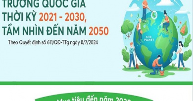 [Infographics] Quy hoạch bảo vệ môi trường quốc gia đến năm 2030, tầm nhìn năm 2050