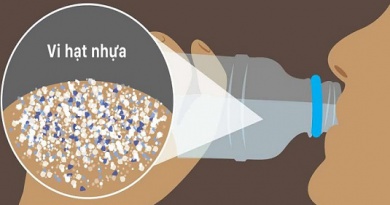 Nguy cơ nhiễm hạt vi nhựa do thói quen dùng đồ nhựa một lần