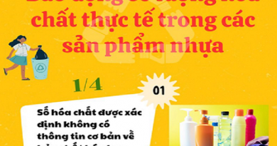[Infographic] Báo động số lượng hóa chất thực tế trong các sản phẩm nhựa