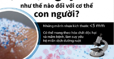 [Infographics]Hạt vi nhựa nguy hiểm như thế nào đối với cơ thể con người?