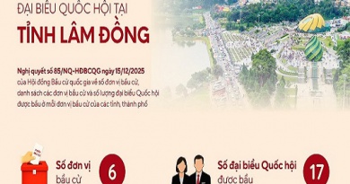 Infographics: Các đơn vị bầu cử đại biểu Quốc hội tại tỉnh Lâm Đồng