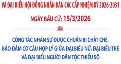 Infographics: Bầu cử Quốc hội và HĐND các cấp: Công tác nhân sự được chuẩn bị chặt chẽ, bảo đảm cơ cấu theo quy định