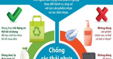 [Infographic] Chống rác thải nhựa bằng những hành động thiết thực nhất