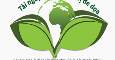 [Infographics] Tài nguyên đất trên toàn thế giới đang bị đe dọa