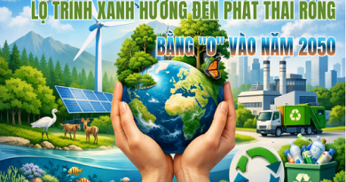 [Infographics] Quy hoạch bảo vệ môi trường quốc gia 2021–2030: Lộ trình xanh hướng đến phát thải ròng bằng “0” vào năm 2050