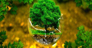 Làm gì để bảo vệ tài nguyên thiên nhiên và môi trường sống