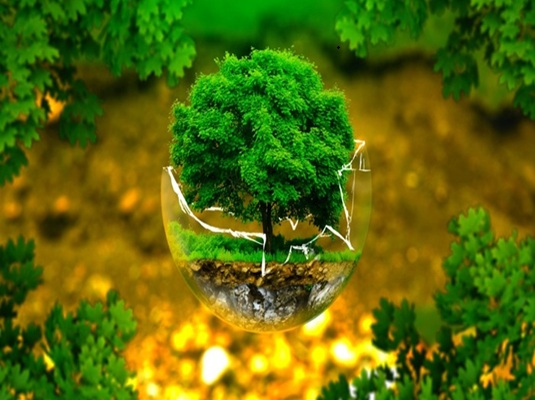 Làm gì để bảo vệ tài nguyên thiên nhiên và môi trường sống