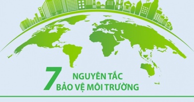 [Infographics] 7 nguyên tắc bảo vệ môi trường