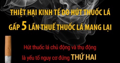[Infographic] Thiệt hại kinh tế do hút thuốc lá gấp 5 lần thuế thuốc lá mang lại